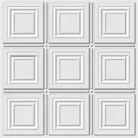 Allusions 2'x2' Lay in Ceiling Tiles - 306
